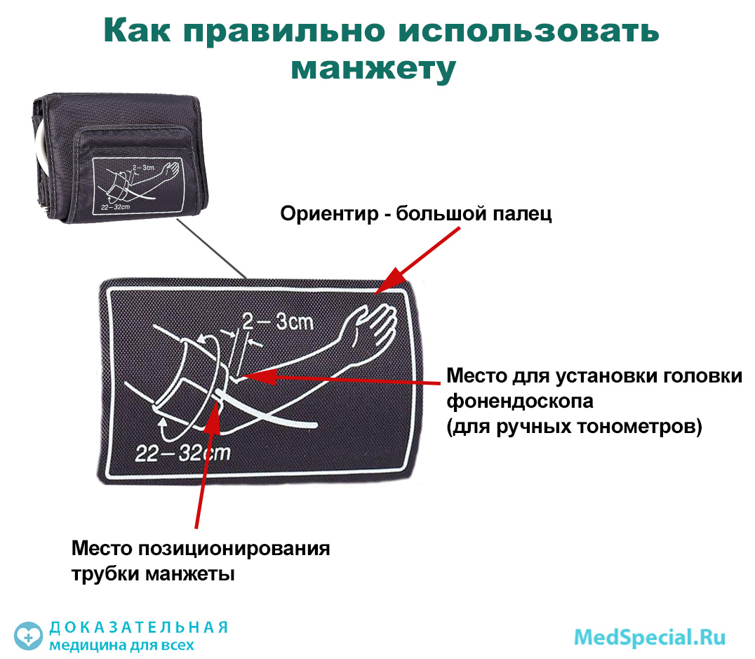 Обхват манжеты. Правильная манжета для тонометра. Размеры манжеты для тонометра. Ширина манжеты тонометра. Размеры манжет для тонометров.