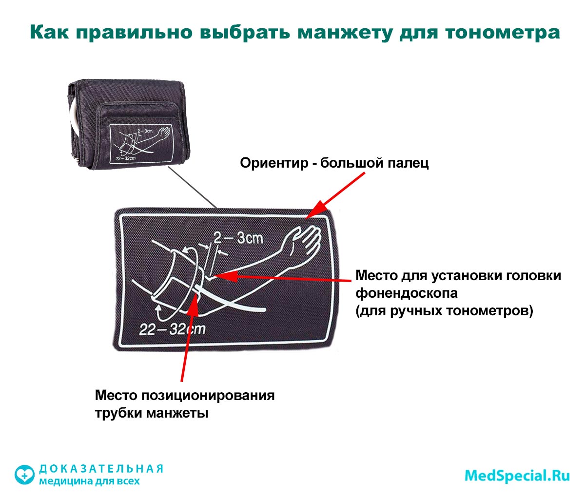 Пример маркировки на манжете тонометра с ориентирами для правильного расположения