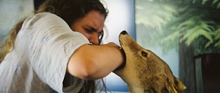 Бешенство. 160 смертей ежедневно