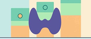 Гипотиреоз у пожилых: где заканчивается норма и начинается гипердиагностика