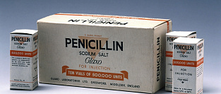 Аллергия на пенициллин. Оценка риска и достоверности анамнестических данных