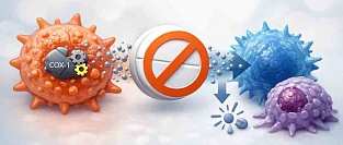 Аспирин и метастазирование: как ацетилсалициловая кислота может влиять на риск метастазов