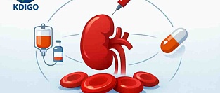 Рекомендаций KDIGO по анемии при ХБП 2026: практические ориентиры для клинициста