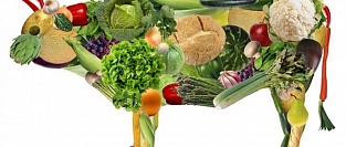 Вегетарианство. Влияние на риск сердечно-сосудистых заболеваний