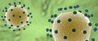 Вакцинация против ротавирусной инфекции. Ключевые факты