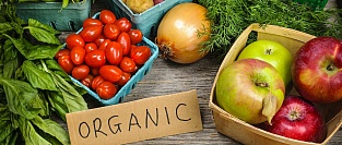 Органические продукты. Мифы и реальность