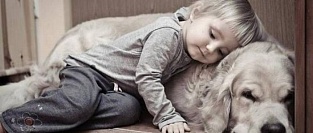 Мех животных и риск развития бронхиальной астмы у детей