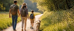 Как защититься от клещей на даче, в лесу и в городском парке