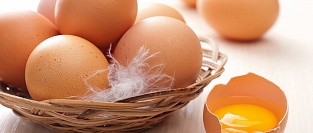 Яйца. Инструкция по безопасности