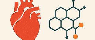 ХСН и дигитоксин: сердечные гликозиды возвращаются?