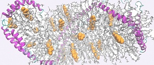 Аполипопротеин apoA-1 при ишемической болезни сердца