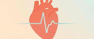 Фракция выброса в диагностике ХСН. Консенсус HFA, HFSA и JHFS 2025