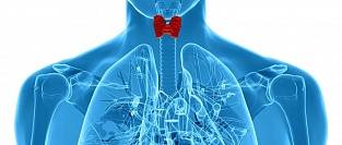 Рекомендации по ведению новорожденных, родившихся у женщин с тиреотоксикозом 2016